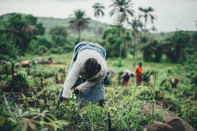 The Vibrant Women of Mbengwi