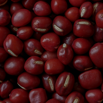 Multicolored Bambara Beans