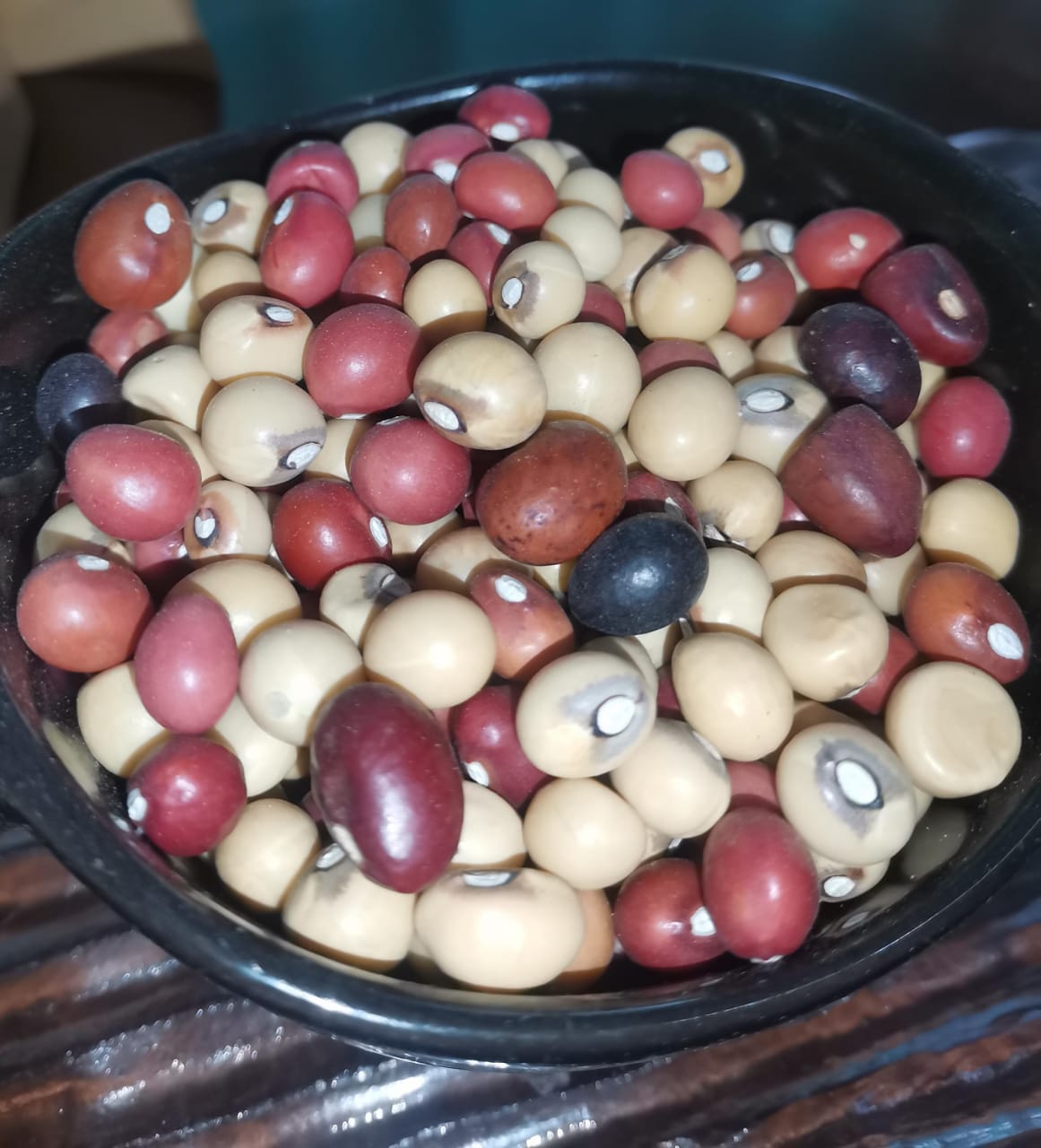 Multicolored Bambara Beans