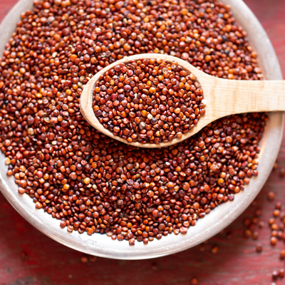 Premium African Red Sorghum